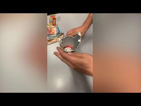 La polizia arresta uno spacciatore: droga nascosta in un tubo di patatine modificato