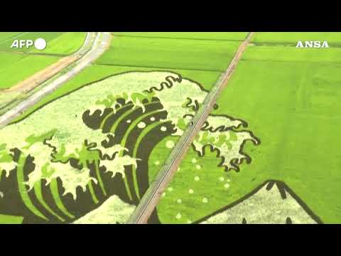 In Giappone i terreni agricoli diventano opere d’arte