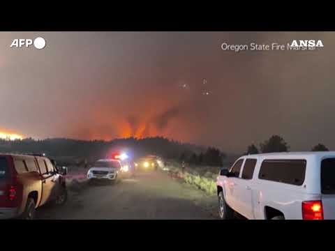 Usa, foresta a fuoco nel Sud dell’Oregon, le fiamme sovrastano gli alberi