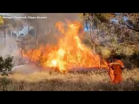 Incendi in Sicilia, brucia da tre giorni zona boschiva nell’Ennese
