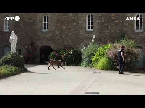 Francia, ucciso un prete in Vandea: il luogo del delitto