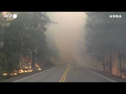 Dalla Siberia al Mediterraneo, il mondo brucia