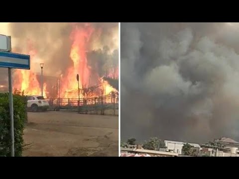 Pescara colpita da un vasto incendio: le fiamme tra le case, i bagnanti in fuga dalla spiaggia