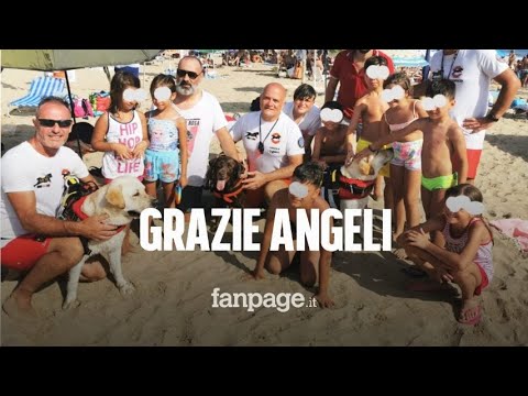 I labrador Eros, Mya e Mir salvano 14 persone a Sperlonga: “Aiuto non riusciamo a tornare a riva”