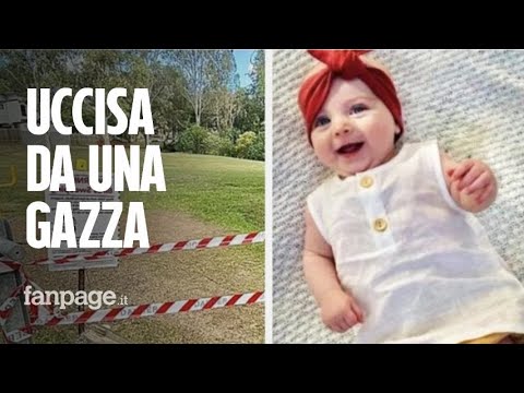 Bimba di 5 mesi uccisa da una gazza: i familiari lanciano raccolta fondi per il funerale di Mia