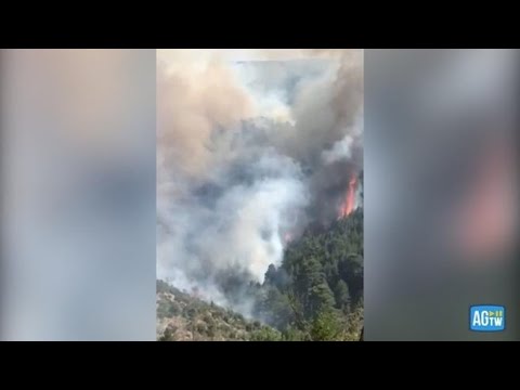 Incendi in Calabria, le fiamme arrivano alle Faggete dell’Aspromonte patrimonio Unesco