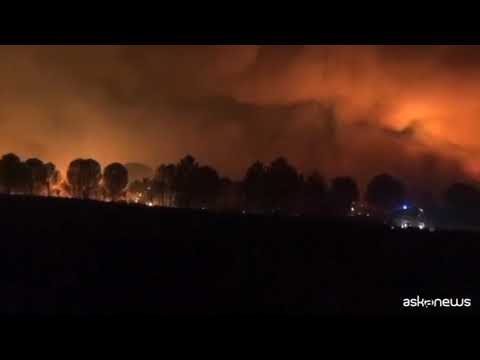 Francia, grande incendio presso Saint-Tropez, migliaia in fuga