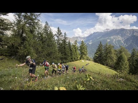 I 2.500 volontari che assistono i Giganti