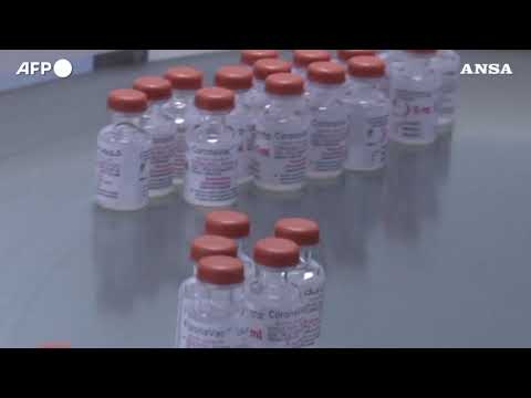 L’Algeria inizia a produrre il vaccino cinese Sinovac: obiettivo 8 milioni di dosi al mese