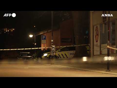 Norvegia, il luogo dell’assalto con arco e frecce, uccise almeno 5 persone