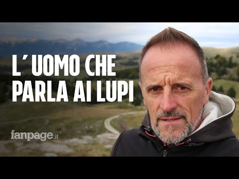 La nuova vita del campione olimpico Fulvio Valbusa, sui monti a studiare i lupi: “Sono come loro”