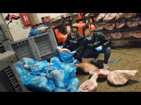 Modena, sequestrate 20 tonnellate di prosciutti congelati in cattivo stato di conservazione