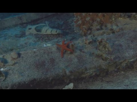 3 ottobre 2013: la strage di Lampedusa rimasta senza verità