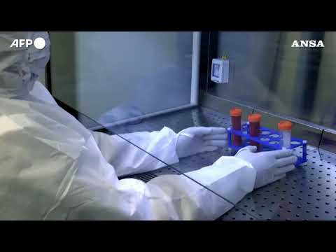 Scienza, prime tracce dei percorsi nascosti che portano ai tumori