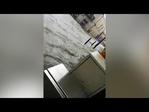 Maltempo a Cagliari: fiumi al posto delle strade e acqua fino al ginocchio