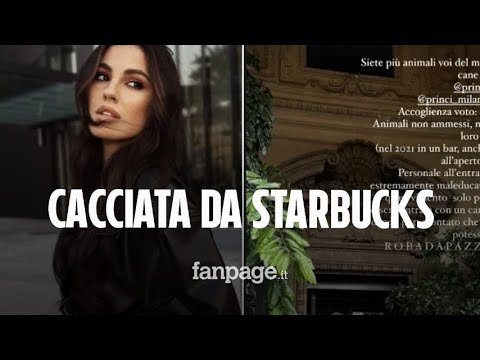 Giulia De Lellis cacciata da Starbucks: “Maleducati quasi violenti, il mio cane non poteva entrare”