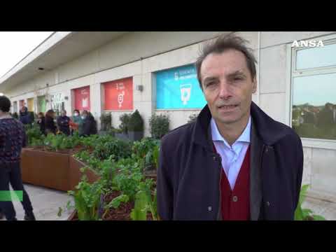 Roma, taglio del nastro per il bio-orto innovativo sul tetto della Fao