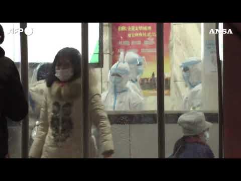 “La paziente zero viene dal mercato di Wuhan”