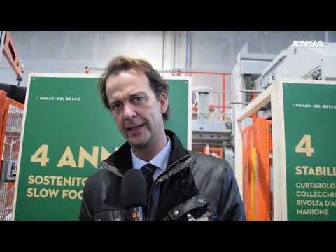 Nel Parmense nuovo polmone verde, nasce il Bosco del Molino