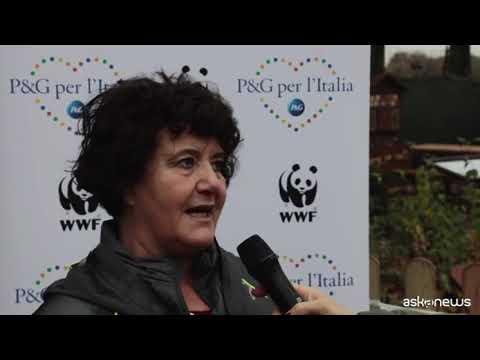 Ambiente, WWF e P&G inaugurano a Codogno un’Aula Natura