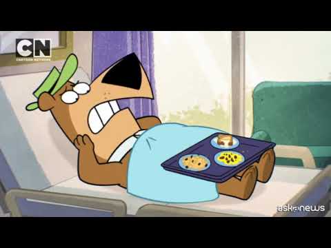 Nella serie “Jellystone” tornano Yoghi, Bubu, Braccobaldo e co.