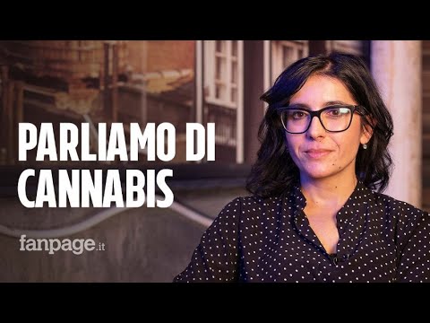Ministra Dadone: “Su cannabis c’è stigma culturale, affrontiamolo e diamo risposte a chi fa uso tera