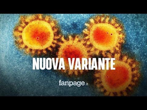 Coronavirus, perché la nuova variante Nu è “la più pericolosa di sempre”