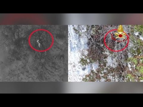 Nell’Aquilano un cane resta bloccato su una parete rocciosa alta 300 metri: il video del…