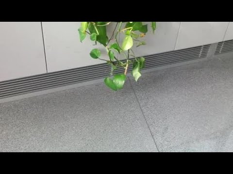 PROVA INVIO 02 ECONOMIA DEL FUTURO HD AP – NON PUBBLICARE