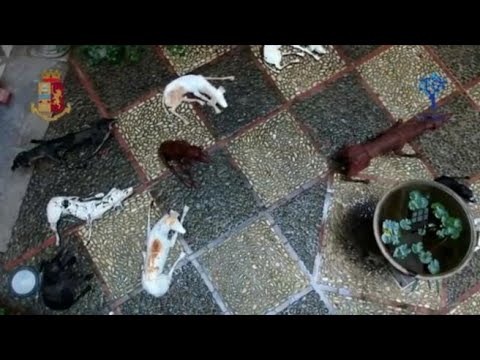 Arte, le opere di Velasco Vitali esposte in questura a Palermo