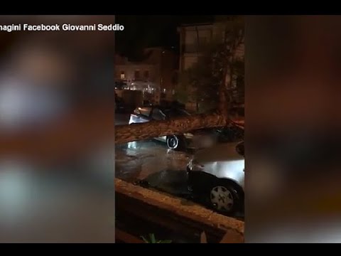 Alberi abbattuti, strade interrotte: le immagini di Agrigento sott’acqua