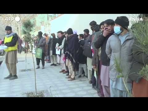 Afghanistan, dopo 4 mesi i talebani tornano a rilasciare passaporti