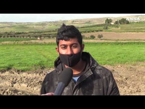 Trovati resti soldati Usa caduti nel ’43 in Sicilia