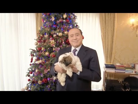 Berlusconi fa gli auguri in video, in braccio la cagnolina Gilda