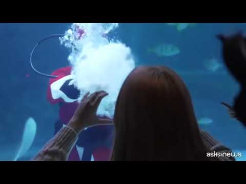 A Seoul Babbo Natale nuota tra i pesci nell’acquario