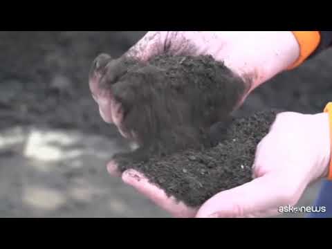 Il suolo: doppia sfida tra cambiamento climatico e produttività