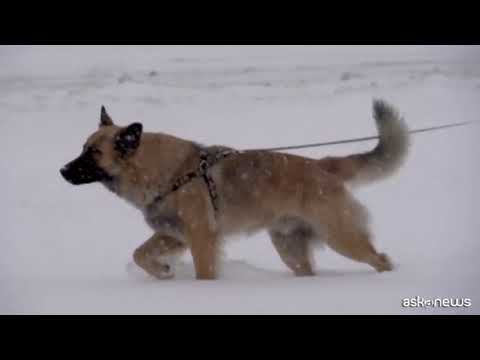 Mosca imbiancata, è nevicata record nella capitale russa