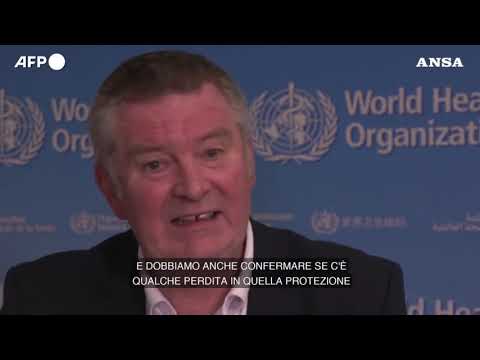 Variante Omicron, Oms: “Niente indica che dia forme di Covid piu’ gravi”