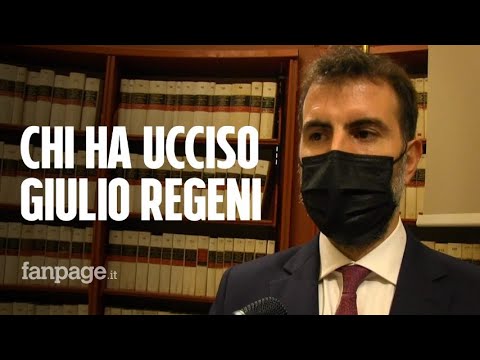 Commissione Regeni, Palazzotto: “Giulio ucciso dai servizi egiziani, depistaggio è ammissione di col