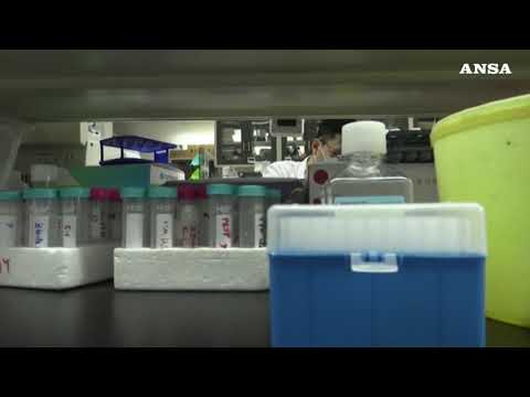 Covid, approvato in Cina il primo farmaco con anticorpi monoclonali