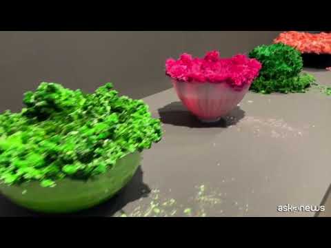 Nulla è perduto: materia, alchimia ed ecologia secondo la GAMeC