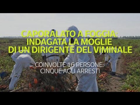 Caporalato a Foggia: indagata la moglie di un dirigente del Viminale