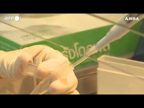 “Inghilterra rischia 75mila morti in 5 mesi, ora stretta”