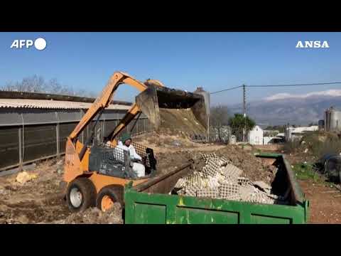 Israele, lo smaltimento delle uova dopo i casi di aviaria tra gru