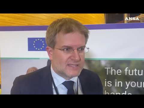 Futuro Ue, Carlo Fidanza (FdI): “Esercizio inutile e dispendioso”