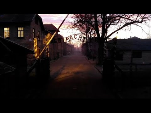 Il 27 gennaio si celebra la Giornata della memoria