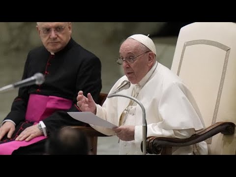 Papa Francesco: «Tante coppie hanno cani e gatti che occupano il posto dei figli»