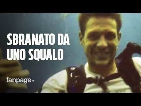 Simon Nellist attaccato e sbranato da uno squalo, i testimoni: “Non si fermava. È stato orribile”