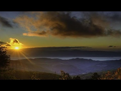 La mostra virtuale del Parco Nazionale dell’Aspromonte: un’esperienza immersiva alla scoperta…
