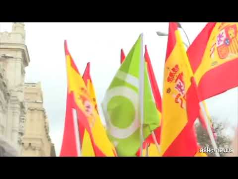A Madrid partito di estrema destra Vox in piazza per caro benzina